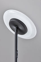 Cozylumi™ Simplee Brand RGB Black Floor Lamp, 6 Different Automatic Color Change
