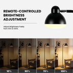 Cozylumi™ Floor Lamp for Living Room, Standing Lamp with Remote Control, 1H Timer &