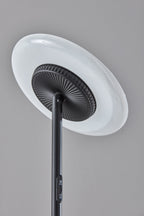 Cozylumi™ Simplee Brand RGB Black Floor Lamp, 6 Different Automatic Color Change