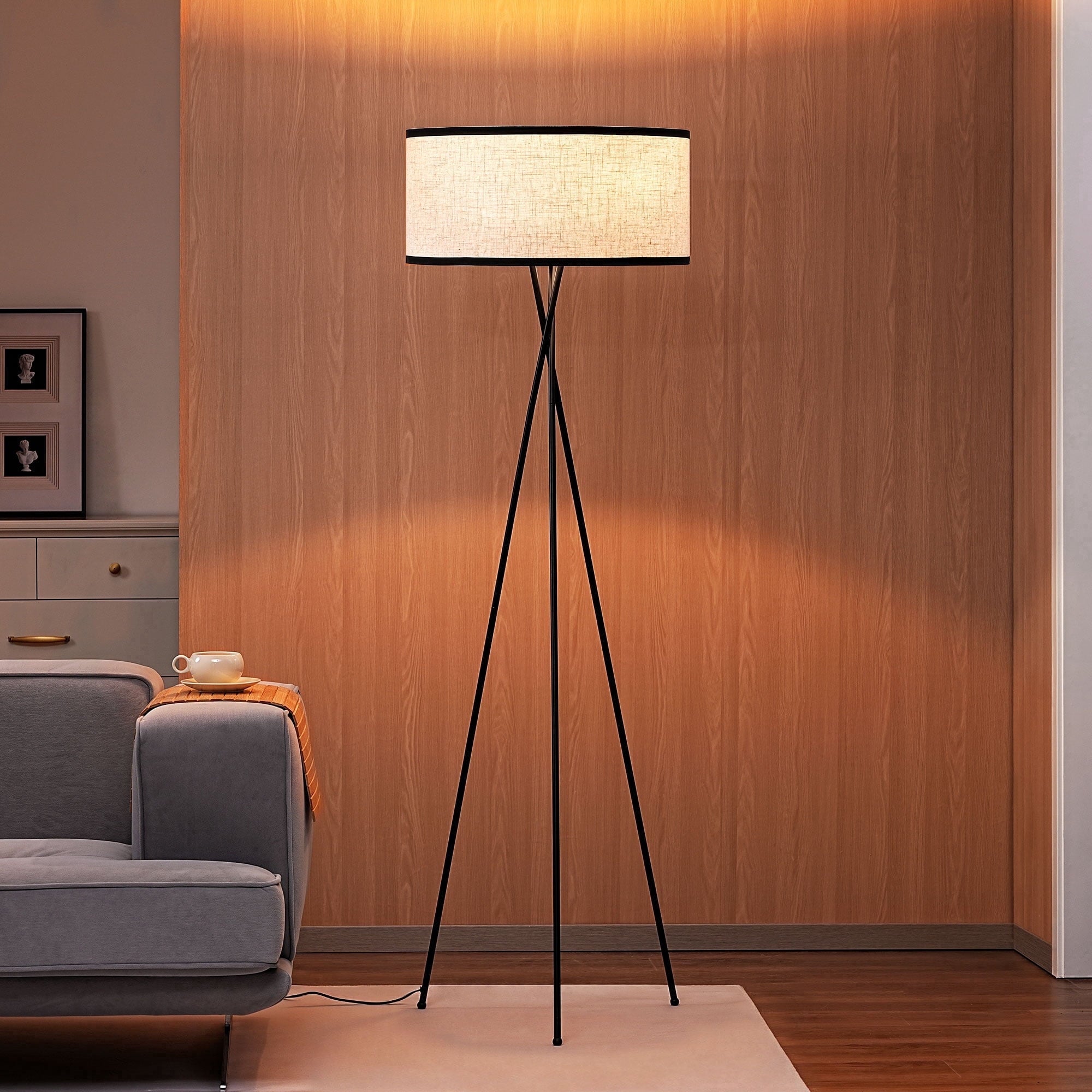 Cozylumi™ 66.9in Tripod Floor Lamps with Remote, Includes RGB Light Bulb, LED Modern