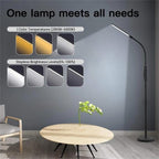 Cozylumi™ Metal LED Floor Lamp, 74''H Modern Touchable Floor Lamp with Remote Control