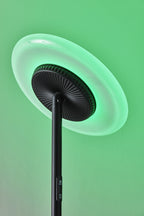 Cozylumi™ Simplee Brand RGB Black Floor Lamp, 6 Different Automatic Color Change