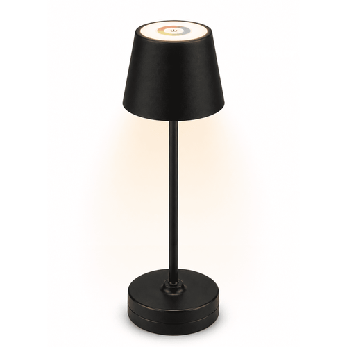 Cozylumi™ 14 Inch Rechargeable Color-Changing Table Lamp, Black, Indoor/Outdoor