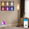 Cozylumi™ LED Floor Lamp, RGB Floor Lamp for Living Room, Standing Lamps Works with