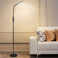 Cozylumi™ Metal LED Floor Lamp, 74''H Modern Touchable Floor Lamp with Remote Control