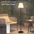 Cozylumi™ Postlucky 56" Solar LED Floor Lamp Dimmable with Remote Control, RGB Color