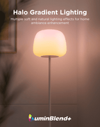 Cozylumi™ Govee Lantern Floor Lamp, Halo Gradient RGBIC Smart Corner Lamp with