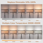 Cozylumi™ 66.9in Tripod Floor Lamps with Remote, Includes RGB Light Bulb, LED Modern