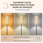 Cozylumi™ Coliware 63 Rattan Floor Lamp, Black Modern Standing Lamp with Pull Chain